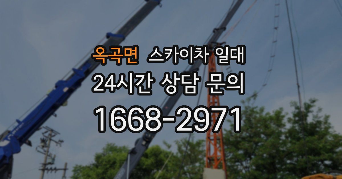 옥곡면 스카이차 일대