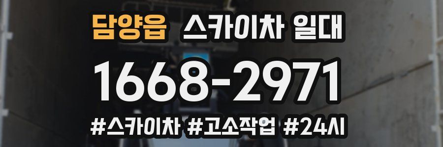 담양읍 스카이차 일대