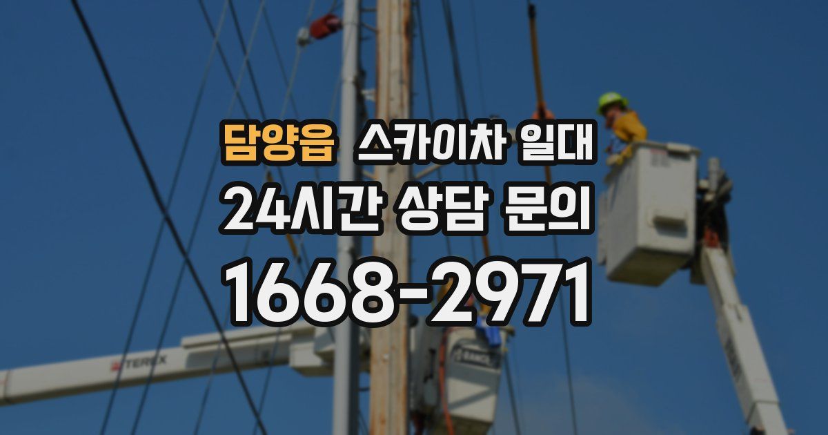 담양읍 스카이차 일대