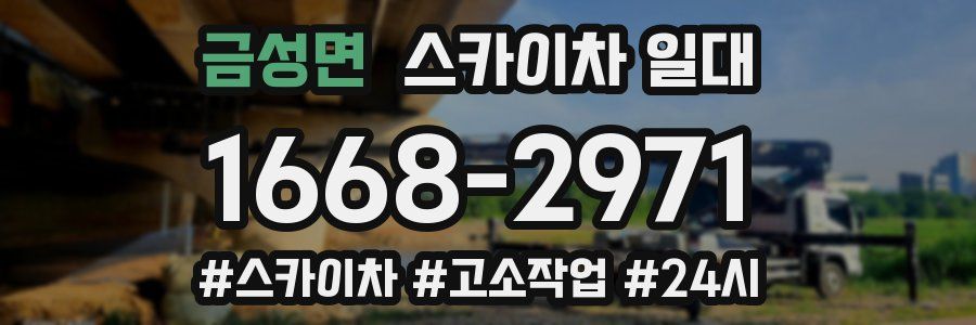 금성면 스카이차 일대
