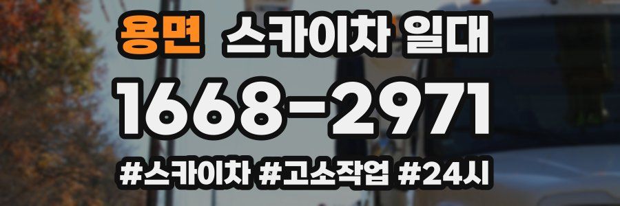 용면 스카이차 일대