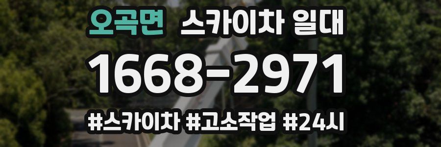 오곡면 스카이차 일대