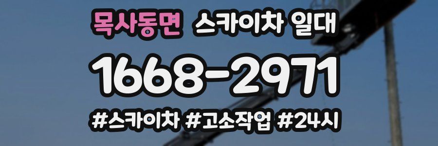 목사동면 스카이차 일대