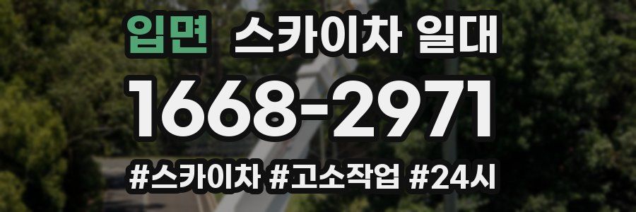 입면 스카이차 일대
