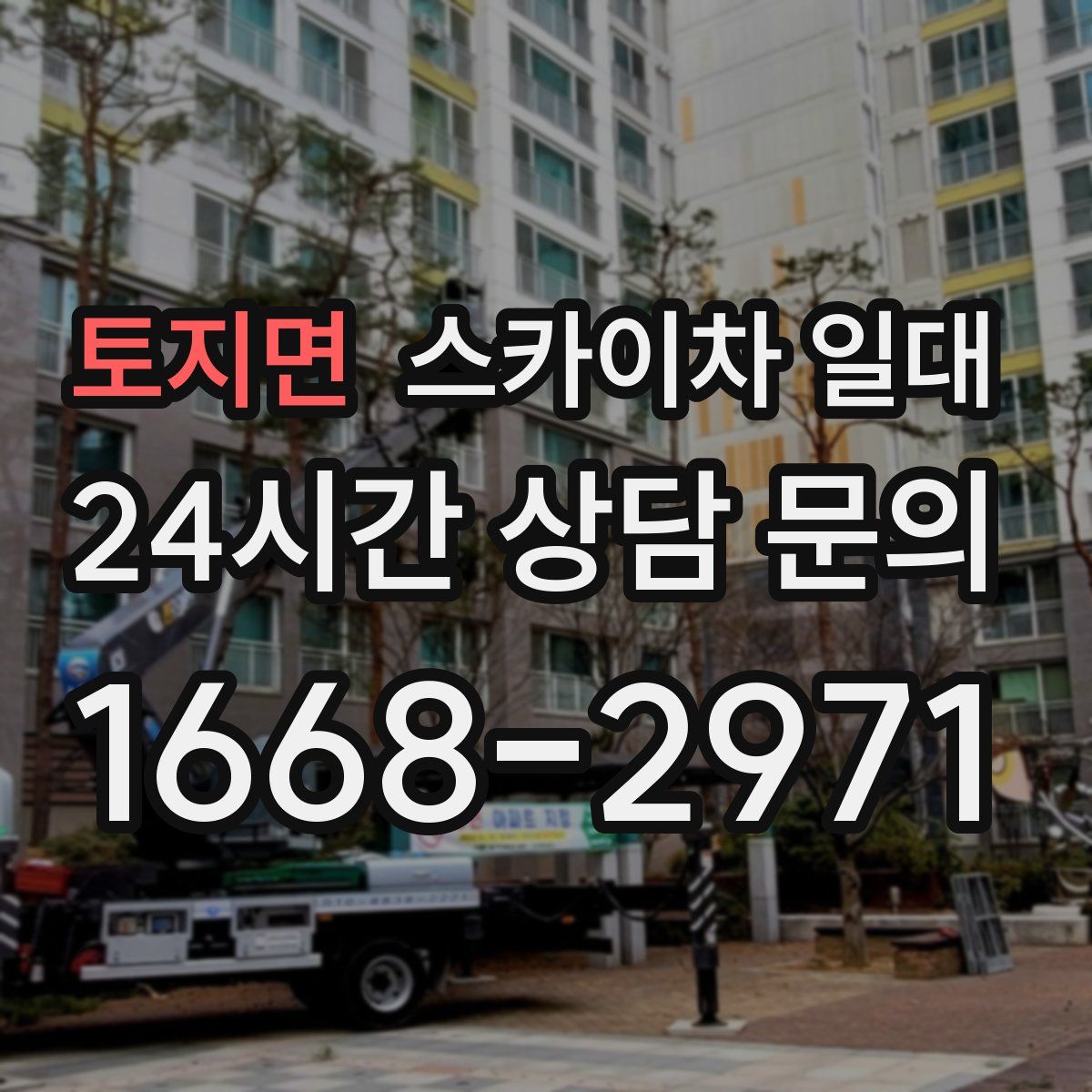 토지면 스카이차 일대