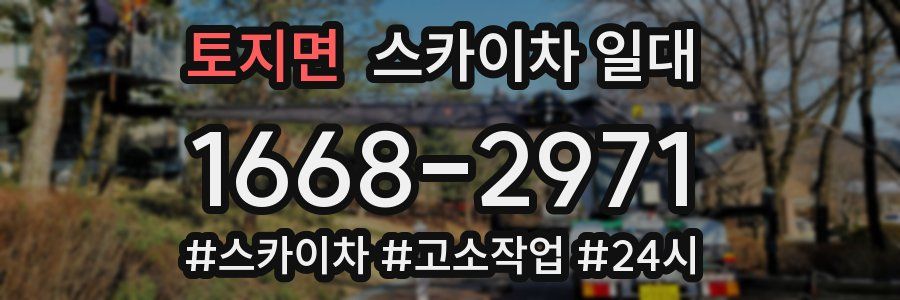 토지면 스카이차 일대