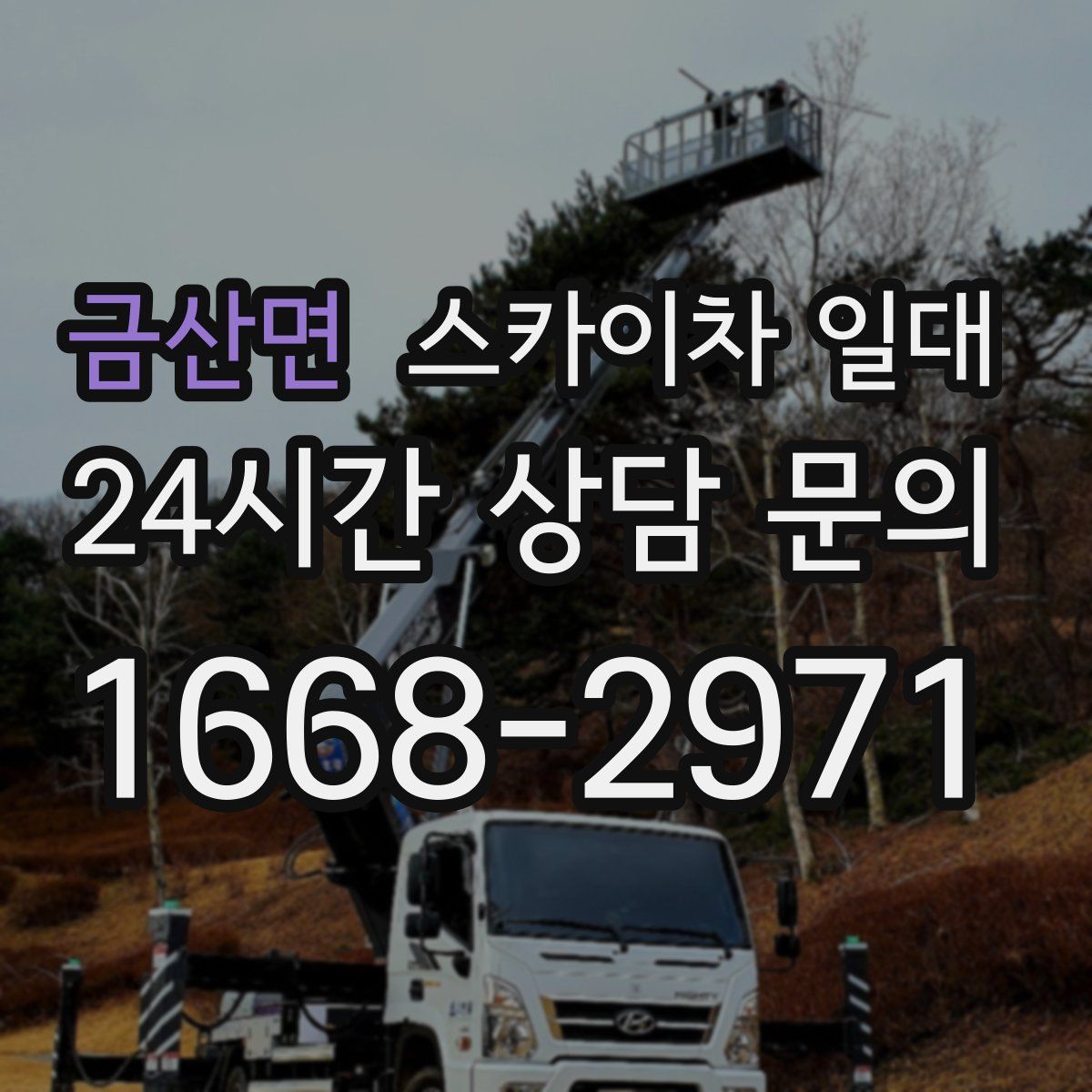 금산면 스카이차 일대