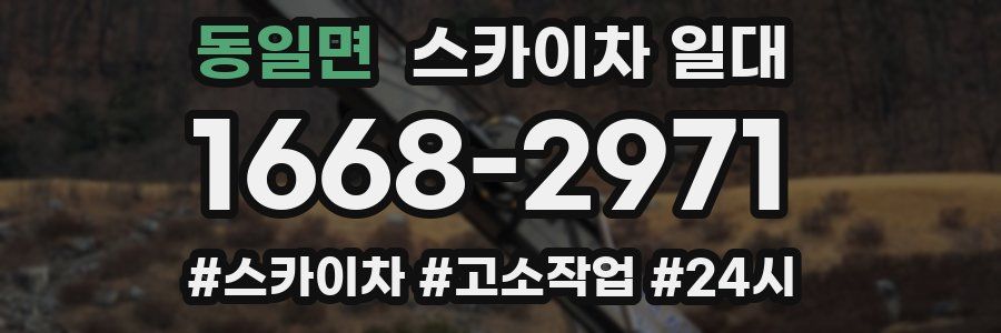 동일면 스카이차 일대