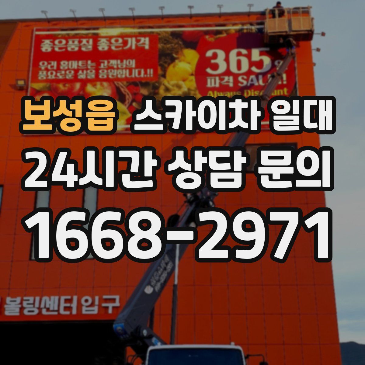 보성읍 스카이차 일대