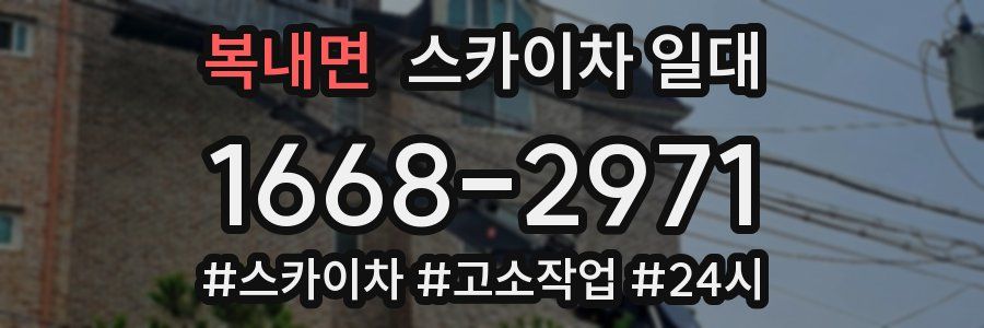 복내면 스카이차 일대