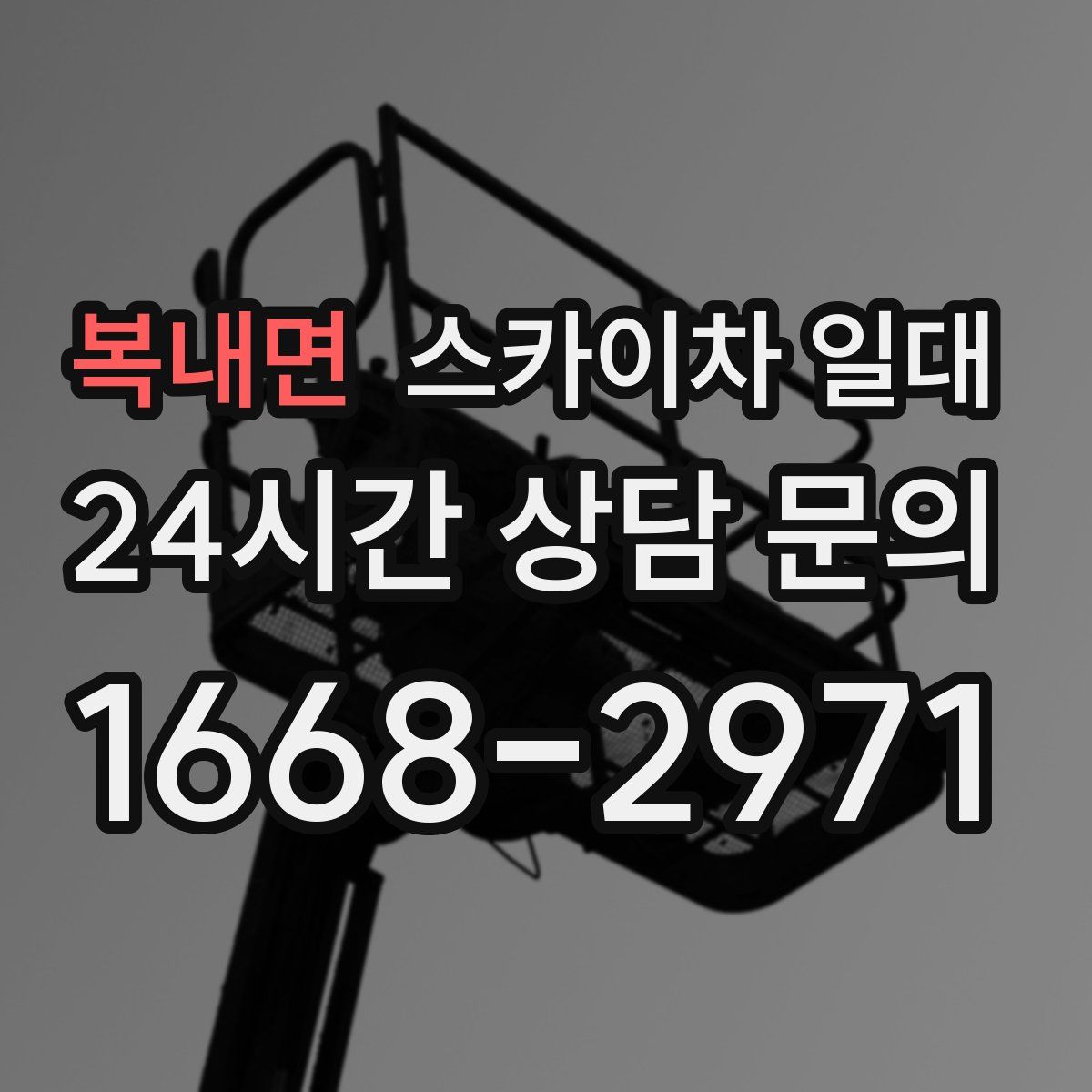복내면 스카이차 일대