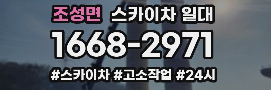 조성면 스카이차 일대