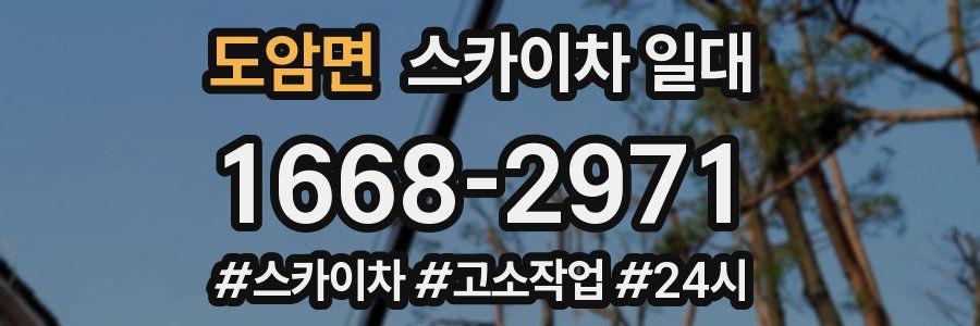 도암면 스카이차 일대
