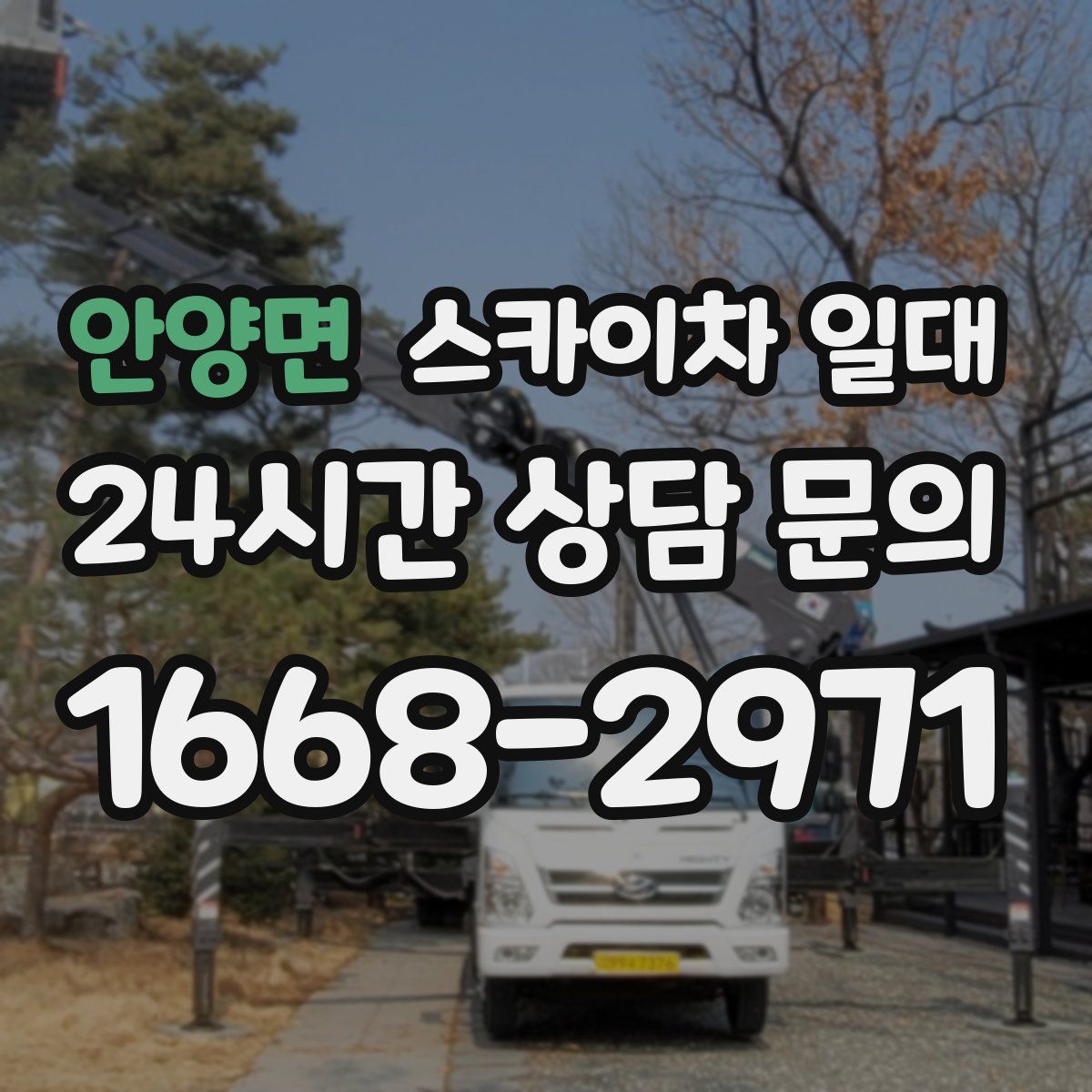 안양면 스카이차 일대
