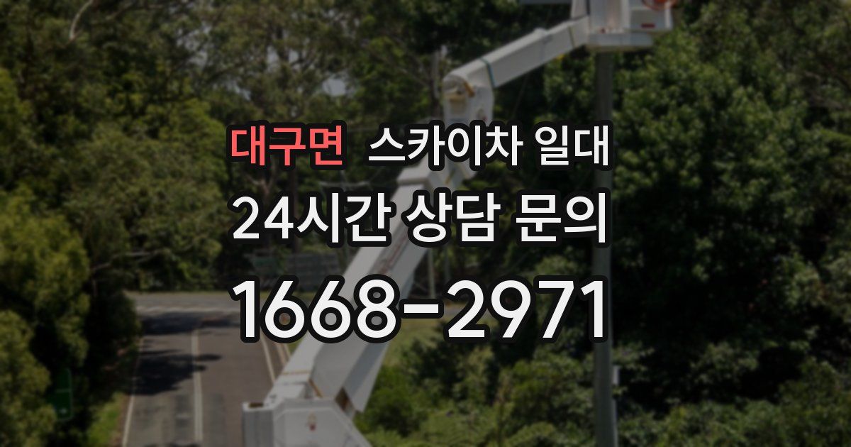 대구면 스카이차 일대