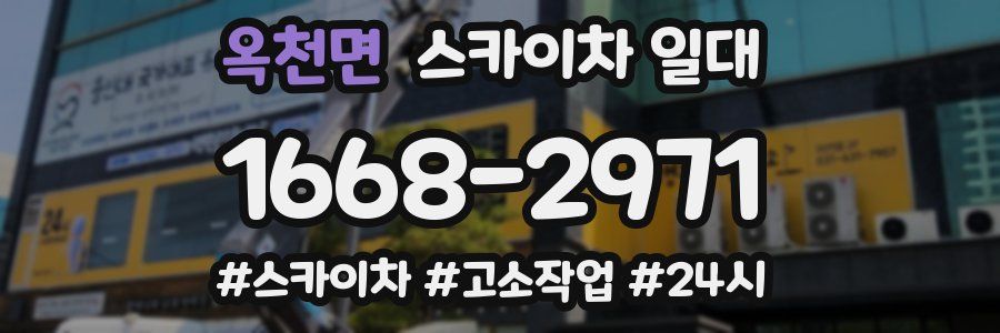 옥천면 스카이차 일대