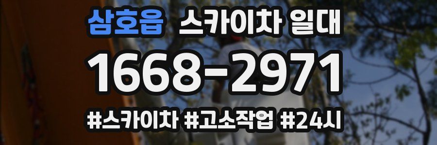 삼호읍 스카이차 일대
