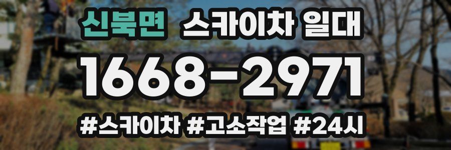 신북면 스카이차 일대