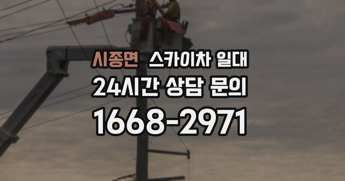 시종면 스카이차 일대