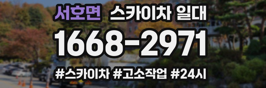 서호면 스카이차 일대