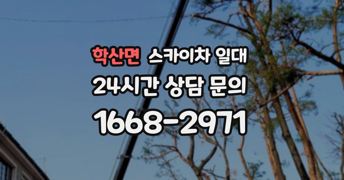 학산면 스카이차 일대