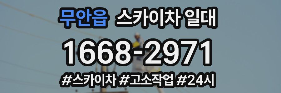 무안읍 스카이차 일대