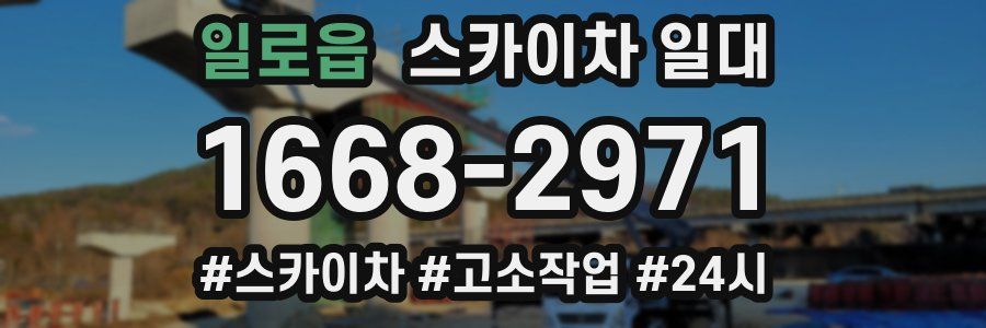 일로읍 스카이차 일대
