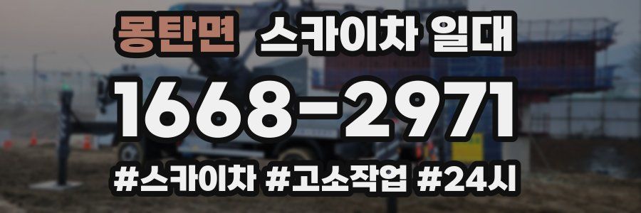 몽탄면 스카이차 일대