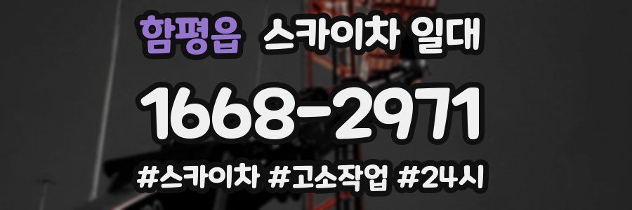 함평읍 스카이차 일대