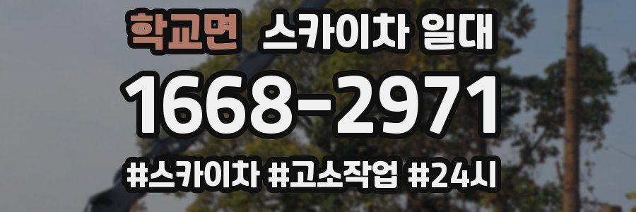 학교면 스카이차 일대