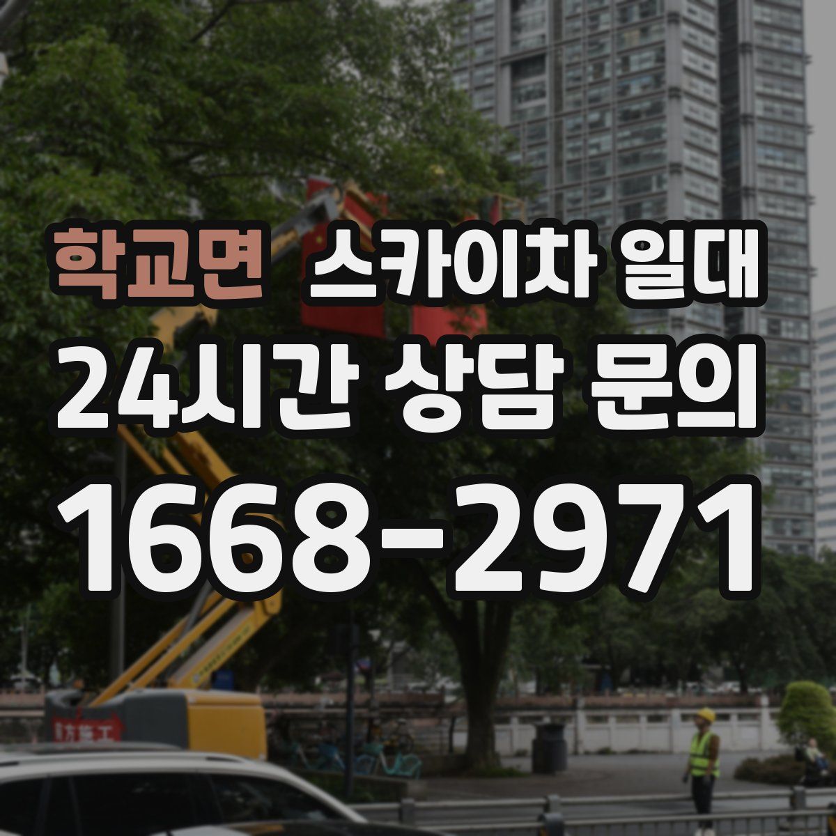 학교면 스카이차 일대