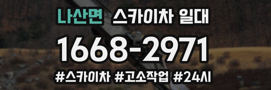 나산면 스카이차 일대