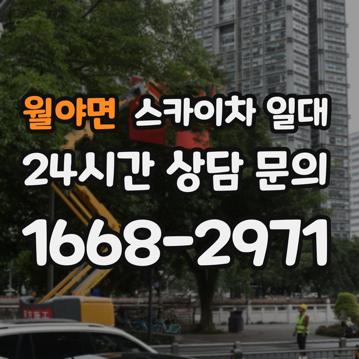월야면 스카이차 일대