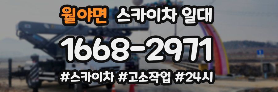 월야면 스카이차 일대
