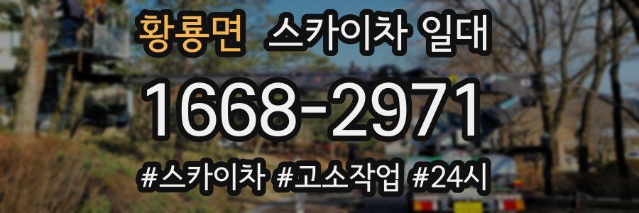 황룡면 스카이차 일대