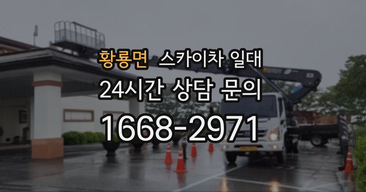황룡면 스카이차 일대