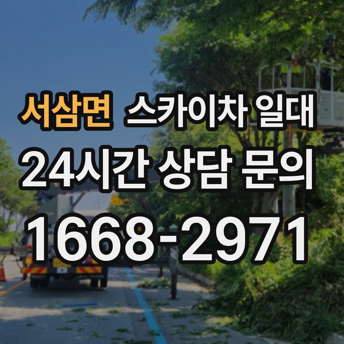 서삼면 스카이차 일대