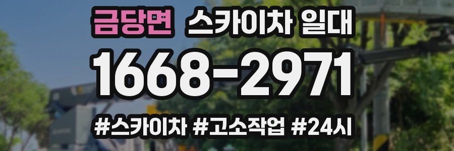 금당면 스카이차 일대