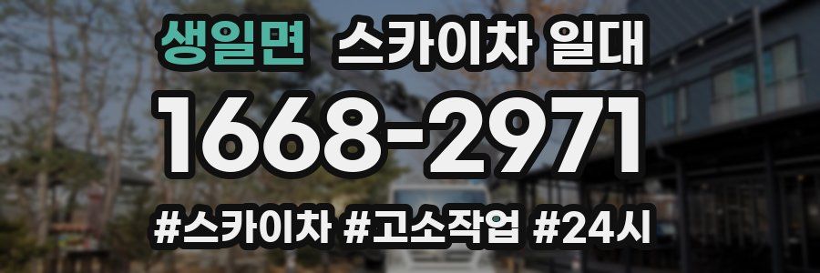 생일면 스카이차 일대