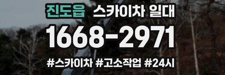 진도읍 스카이차 일대