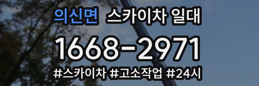 의신면 스카이차 일대