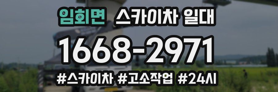 임회면 스카이차 일대