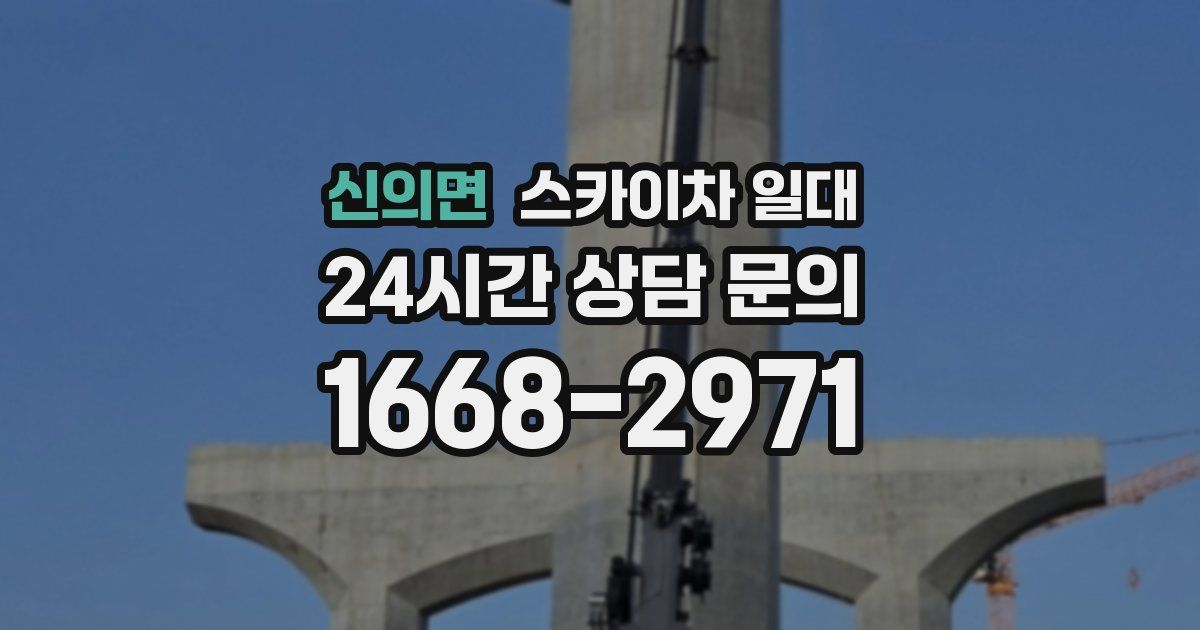 신의면 스카이차 일대