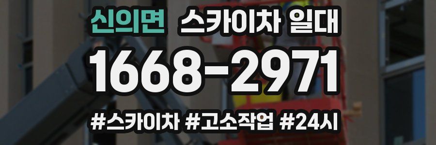 신의면 스카이차 일대