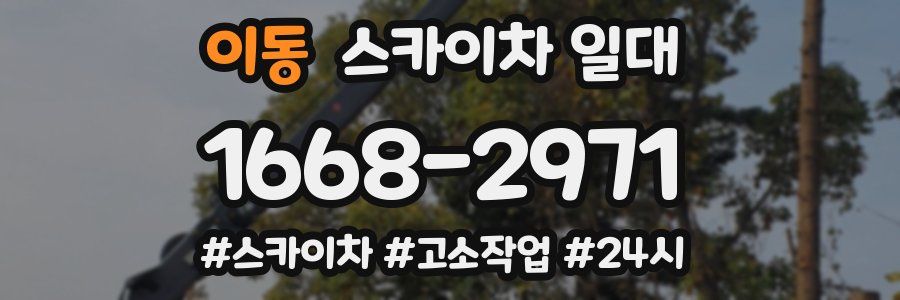 이동 스카이차 일대