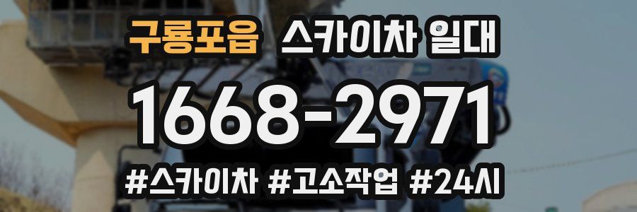 구룡포읍 스카이차 일대