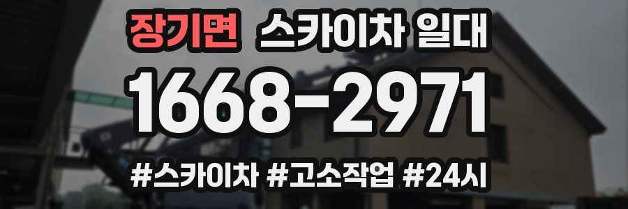 장기면 스카이차 일대