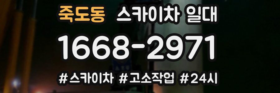 죽도동 스카이차 일대