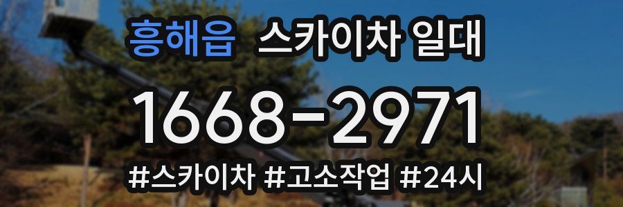흥해읍 스카이차 일대