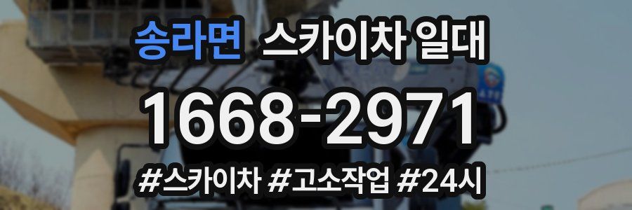 송라면 스카이차 일대